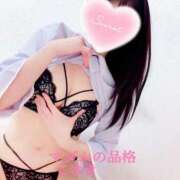 ヒメ日記 2025/10/15 14:56 投稿 こゆき マダムの品格