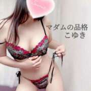 ヒメ日記 2025/10/17 15:17 投稿 こゆき マダムの品格