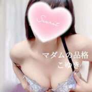 ヒメ日記 2025/10/24 01:08 投稿 こゆき マダムの品格