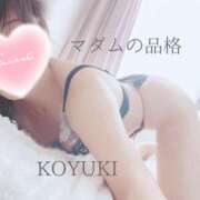 ヒメ日記 2025/10/28 07:03 投稿 こゆき マダムの品格