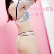 ヒメ日記 2025/10/29 13:00 投稿 こゆき マダムの品格