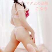 ヒメ日記 2025/10/31 07:01 投稿 こゆき マダムの品格