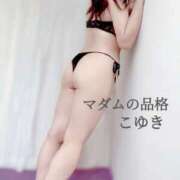 ヒメ日記 2025/11/02 06:44 投稿 こゆき マダムの品格