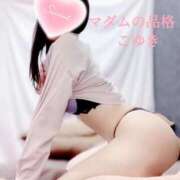 ヒメ日記 2025/11/03 09:45 投稿 こゆき マダムの品格