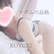 ヒメ日記 2025/11/04 08:30 投稿 こゆき マダムの品格