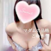 ヒメ日記 2025/11/05 13:30 投稿 こゆき マダムの品格