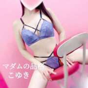 ヒメ日記 2025/11/06 03:43 投稿 こゆき マダムの品格