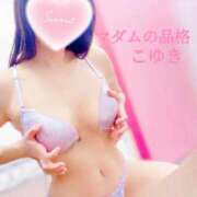 ヒメ日記 2025/11/08 06:53 投稿 こゆき マダムの品格