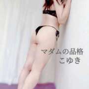 ヒメ日記 2025/11/08 13:01 投稿 こゆき マダムの品格