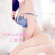 ヒメ日記 2025/11/09 07:39 投稿 こゆき マダムの品格