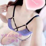 ヒメ日記 2025/11/10 07:02 投稿 こゆき マダムの品格