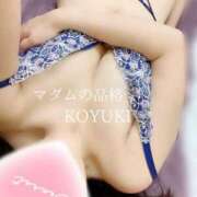 ヒメ日記 2025/11/11 14:01 投稿 こゆき マダムの品格