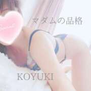 ヒメ日記 2025/11/16 07:49 投稿 こゆき マダムの品格