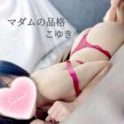 ヒメ日記 2025/11/17 07:33 投稿 こゆき マダムの品格