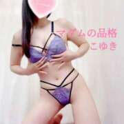 ヒメ日記 2025/11/17 07:45 投稿 こゆき マダムの品格