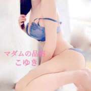 ヒメ日記 2025/11/17 07:55 投稿 こゆき マダムの品格