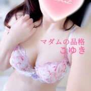 ヒメ日記 2025/11/18 08:15 投稿 こゆき マダムの品格