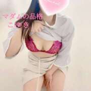 ヒメ日記 2025/11/18 08:45 投稿 こゆき マダムの品格