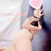 ヒメ日記 2025/11/18 12:03 投稿 こゆき マダムの品格