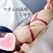 ヒメ日記 2025/11/20 08:18 投稿 こゆき マダムの品格