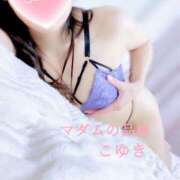 ヒメ日記 2025/11/21 08:15 投稿 こゆき マダムの品格