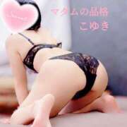 ヒメ日記 2025/11/22 06:42 投稿 こゆき マダムの品格