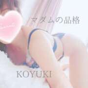 ヒメ日記 2025/12/05 08:15 投稿 こゆき マダムの品格