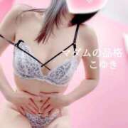 ヒメ日記 2025/12/06 09:45 投稿 こゆき マダムの品格