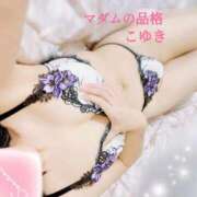 ヒメ日記 2025/12/06 16:10 投稿 こゆき マダムの品格