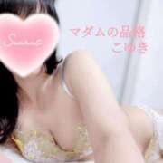 ヒメ日記 2025/12/10 03:15 投稿 こゆき マダムの品格