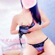 ヒメ日記 2025/12/11 03:45 投稿 こゆき マダムの品格