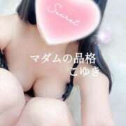 ヒメ日記 2025/12/11 04:15 投稿 こゆき マダムの品格