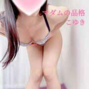 ヒメ日記 2025/12/12 08:08 投稿 こゆき マダムの品格