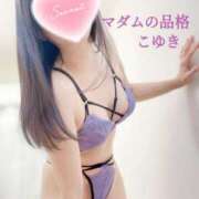 ヒメ日記 2025/12/12 09:45 投稿 こゆき マダムの品格