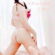 ヒメ日記 2025/12/13 09:52 投稿 こゆき マダムの品格