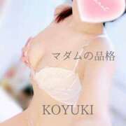 ヒメ日記 2025/12/14 08:31 投稿 こゆき マダムの品格