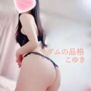 ヒメ日記 2025/12/14 16:45 投稿 こゆき マダムの品格