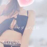 ヒメ日記 2025/12/15 08:15 投稿 こゆき マダムの品格