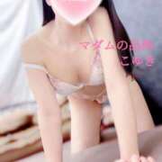 ヒメ日記 2025/12/17 03:00 投稿 こゆき マダムの品格