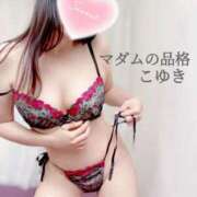 ヒメ日記 2025/12/17 15:45 投稿 こゆき マダムの品格