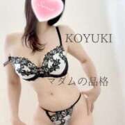 ヒメ日記 2025/12/19 03:00 投稿 こゆき マダムの品格