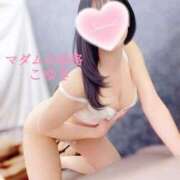 ヒメ日記 2025/12/19 03:30 投稿 こゆき マダムの品格