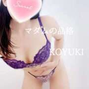 ヒメ日記 2025/12/19 13:17 投稿 こゆき マダムの品格