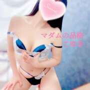 ヒメ日記 2025/12/20 07:25 投稿 こゆき マダムの品格