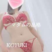 ヒメ日記 2025/12/20 07:34 投稿 こゆき マダムの品格