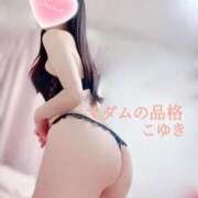 ヒメ日記 2025/12/20 16:04 投稿 こゆき マダムの品格