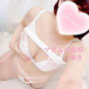 ヒメ日記 2025/12/23 07:34 投稿 こゆき マダムの品格