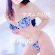 ヒメ日記 2025/12/23 20:30 投稿 こゆき マダムの品格