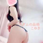 ヒメ日記 2025/12/24 04:38 投稿 こゆき マダムの品格