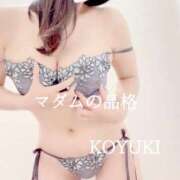 ヒメ日記 2025/12/24 21:01 投稿 こゆき マダムの品格